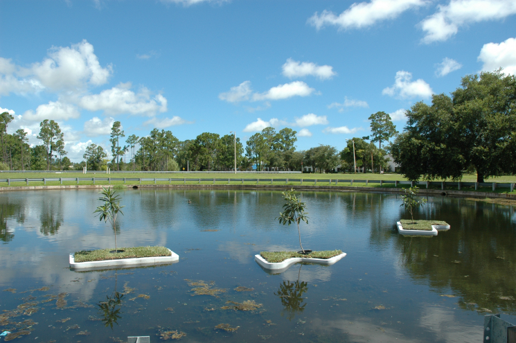aisle-lands_erik_peterson_2006.jpg