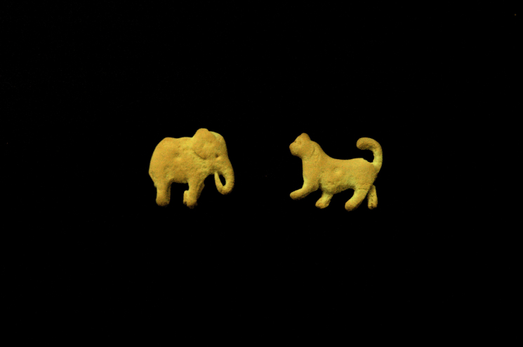 Animal Crackers and Poacher