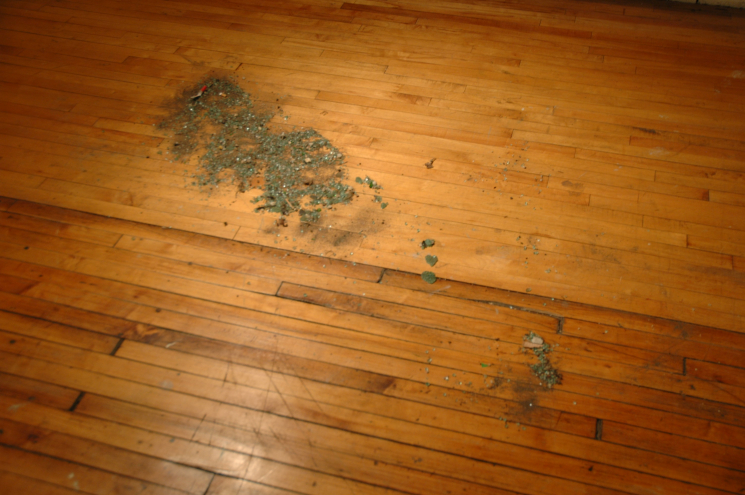 detroit_diamonds_erik_peterson_2010_1.jpg