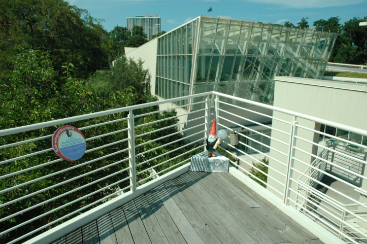 Gnome Grown - Solar Gnome Gnome Grown - Solar Gnome
