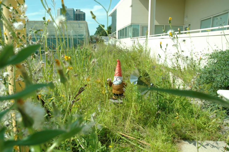Gnome Grown - Wind Power Gnome