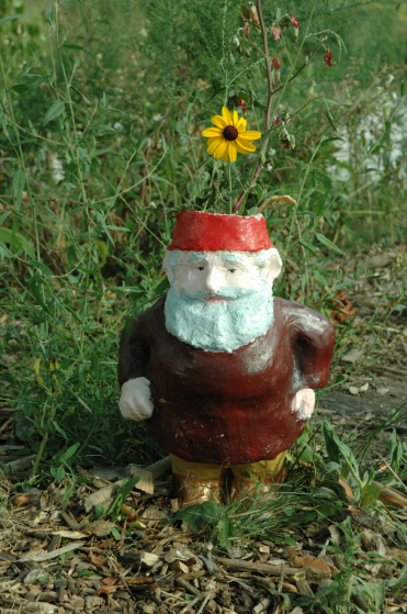 Gnome Grown - Prairie Gnome