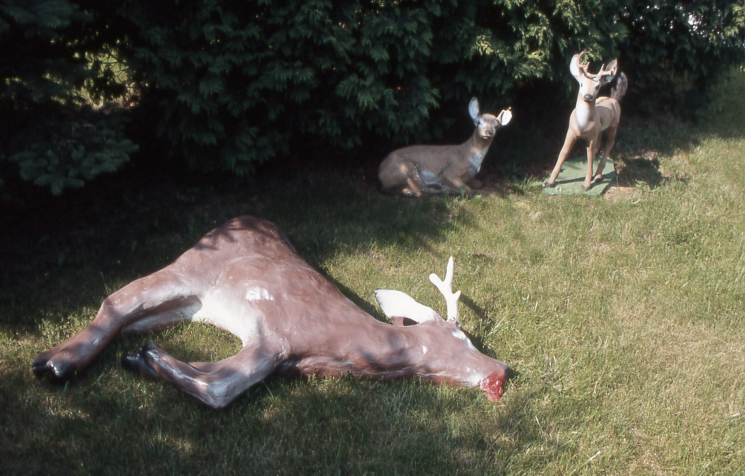 Lawn Ornament