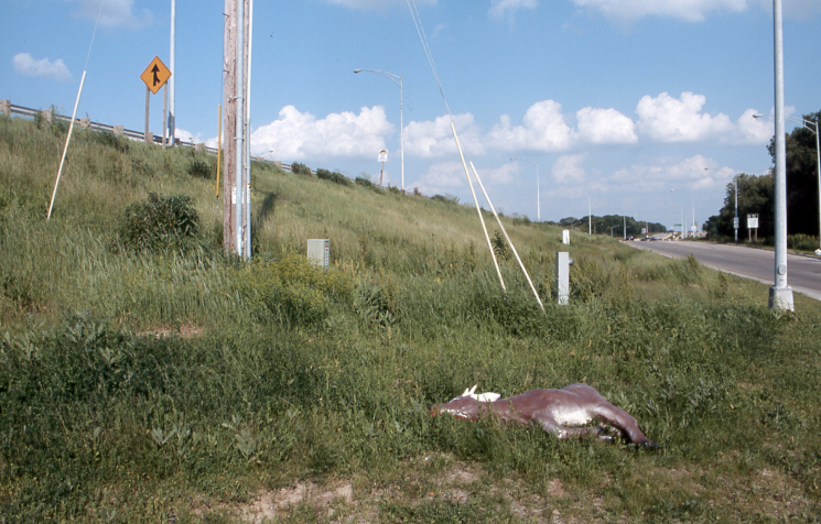 lawnornament_highway_erik_peterson_2004.jpg