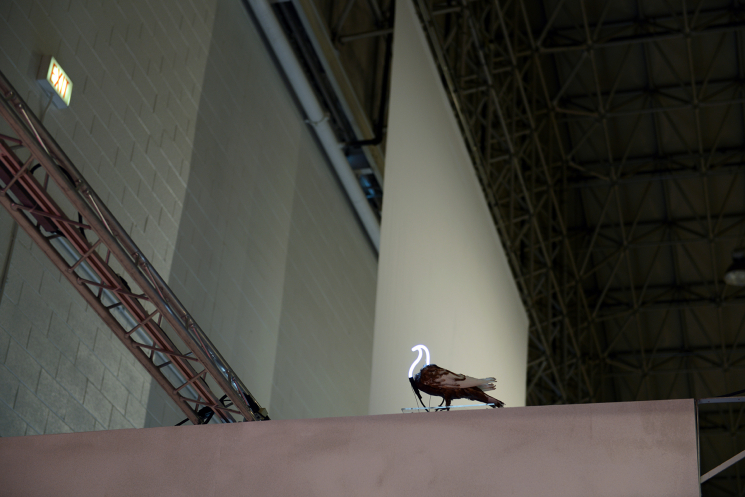 Neon Pigeon