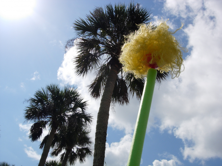 safetpalms_erik_peterson_2005.jpg