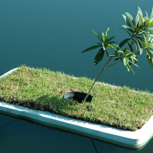 Aislands aisle-lands_2_erik_peterson_2006.jpg