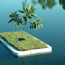 Aislands aisle-lands_close_erik_peterson_2006.jpg