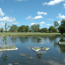 Aislands aisle-lands_erik_peterson_2006.jpg