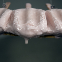 CreamCycle creamcycle_erik_peterson_2010_6.jpg