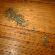 Detroit Diamonds (3/16/09, 8:05 a.m) detroit_diamonds_erik_peterson_2010_1.jpg