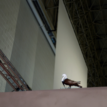 Neon Pigeon neon_pigeon_expo_erik_peterson_2014_web.jpg