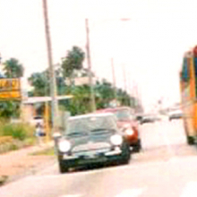 Safe T Palms saftpalms-family_takes_home.jpg