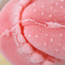 Soft Palate soft_palate_erik_peterson_maurene_cooper_6.jpg