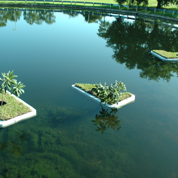 Aisle-Lands