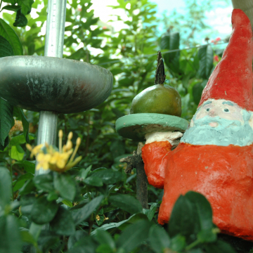 Gnome Grown - Butterfly Gnome