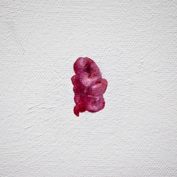 Object (gum, stomach, intestine)