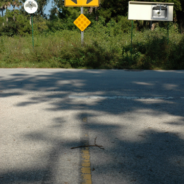 One Way or the Other