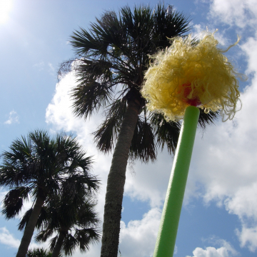 Safe T Palms
